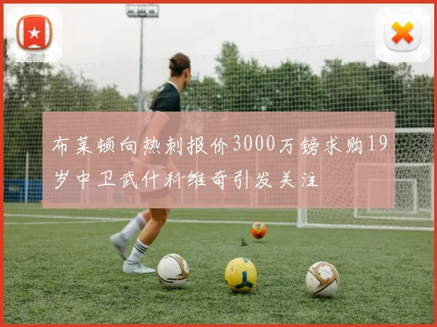 布莱顿向热刺报价3000万镑求购19岁中卫武什科维奇引发关注