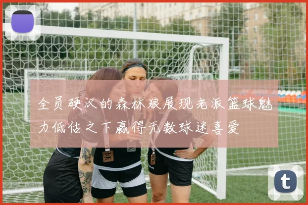 全员硬汉的森林狼展现老派篮球魅力低估之下赢得无数球迷喜爱